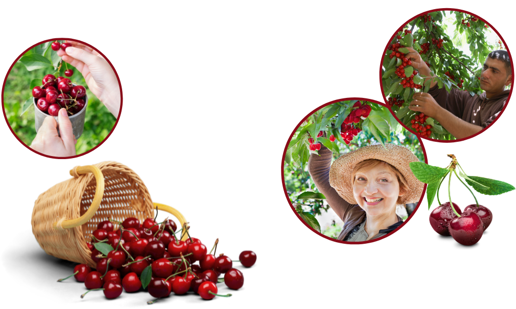 Заголовок